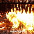 一口小海鲜封神的三门！惊艳亮相央视跨年晚会！_4