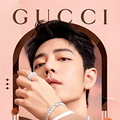 ������̩Gucci����鱦��