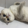 房子烂尾一年后_1