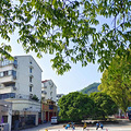 枫南，想说离开你不容易_0