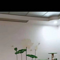 椒江工人西路江滨新村房屋出租_2