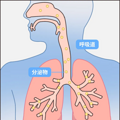 全国严管！这款常用止咳药，别再乱吃了，后果太严重…_5