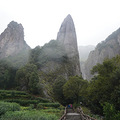 雁荡山雨后仙境之旅手术刀_5