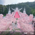 黄子韬徐艺洋官宣领证结婚！_1
