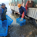 12.48万，长潭水库迎来“新住户”_0