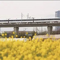 强冷空气上线！气温“过山车”来了，下周好天气将回归