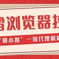 流量新蓝海！迅雷浏览器推广秘籍，速来揭秘