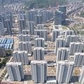 台州职业技术学院玉环校区将在下个月完成桩基工程_2