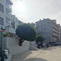 下午从福建省霞浦县三沙镇三澳村回家。_5