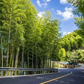 高颜值！台州3条公路在全国脱颖而出_0