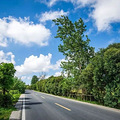 高颜值！台州3条公路在全国脱颖而出_2