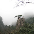 黄山归来喽!!(流水帐)_3