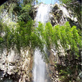和大家一起分享4月18日台州运动群组织的爬黄岩松岩山景色_0
