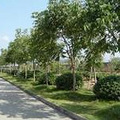 台州学院的概况_0