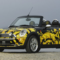 �͵��Ļ���~~~mini