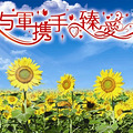 我的向日葵主题婚礼_0