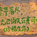 西塘，就这样来去_1