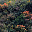 ��������̫��