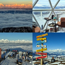 买车用车轮播图花