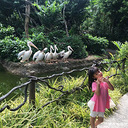 ���㳡��̳��¼