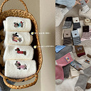 ��ҳ�ֲ���¼