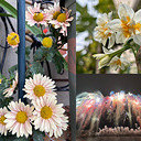 ��ҳ�ֲ���¼