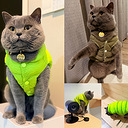 ��ҳ�ֲ���¼