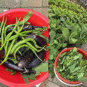 ��ҳ�ֲ���¼