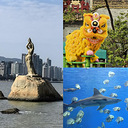 �����ͼ��¼