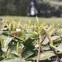 ��ѧ����������ͼ