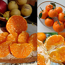 ��ҳ�ֲ���¼