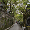 ���㳡��̳��¼