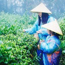 ��ͼ���������