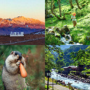 ���ó��ֲ�ͼ��