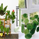 �����Ҿ�װ��