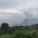 ������Ӱ����