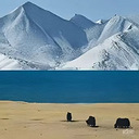 ÿ�ռα���ѡ