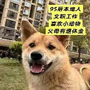 ������ҳ�㳡