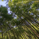 ̨����ҳ�㳡