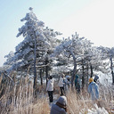 ̨����Ϣ��֪��