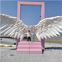 ̨����ҳ�㳡