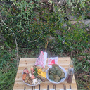 ���״��ֻ��˸���