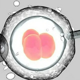 可指定嬰兒性別？衛(wèi)健委回應