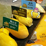 马来西亚榴莲记