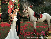 你喜欢的户外婚礼全在这里_重庆保利花园皇冠假日酒店