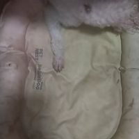 ���������ĸ��飬�Ĳ���Ҫ����Έ���