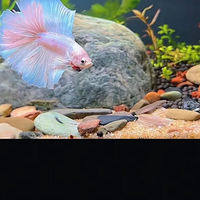 �������Ϲ�ÿ��ֻ�Ͻ�һ�빤�Y��������������K��ҕ�l�l�W��