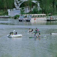 200�f���ϵĸ��ƶ�ϲ�g�I������