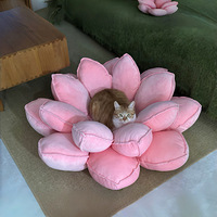 �þ����è�ѣ��������ͼ�ֱ�ˣ�������