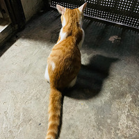 ��ţ����һ�첻���Żŵ�Ӵ